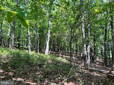 7751 Greenwalt Gap, Franklin, WV 26807 - photo 3