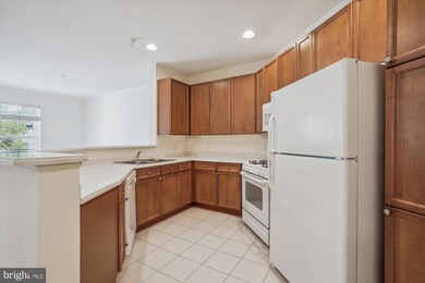 815 Branch Dr unit 301, Herndon, VA 20170 - photo 4
