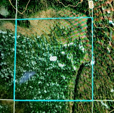 0 E Lincoln St, Brohman, MI 49312 - photo 6