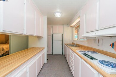 51 Steelhead Cir, Lewiston, CA 96052 - photo 5