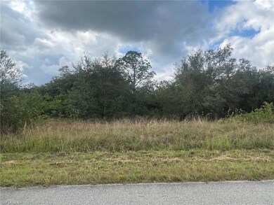 1813 Canton Ave, Lehigh Acres, FL 33972 - photo 3