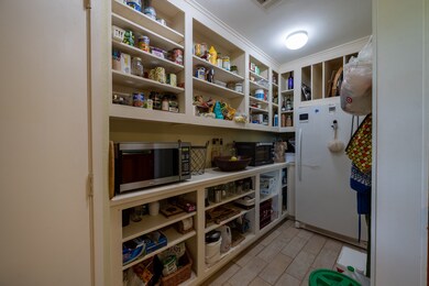 EXTREMELY ample pantry including space for extra freezer.