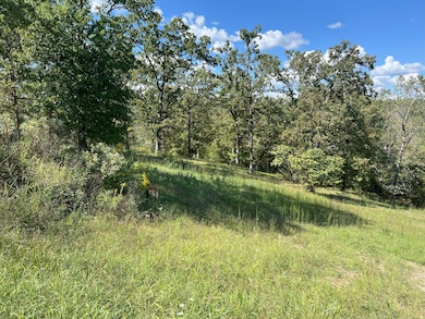 #9 Ledge Rock Ln unit Lot 9, Omaha, AR 72662 - photo 6