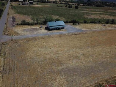 22690 Sweet Clover Rd, Cedaredge, CO 81413 - photo 6