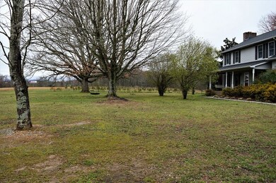 The property goes to the wood line. There are Christmas trees on the property that the owner used to sell.