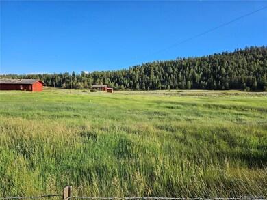 PCS# 4519 & 4520 Colorado 24, Hartsel, CO 80449 - photo 6