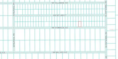 TBD NW Shamrock Ave, Dunnellon, FL 34431 - photo 3