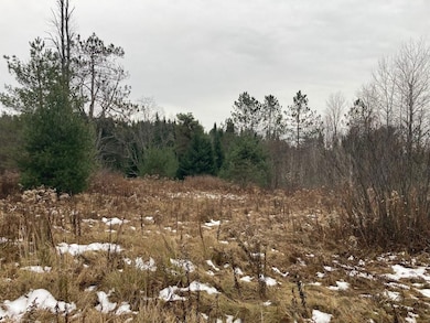 New York 8, Cold Brook, NY 13324 - photo 5