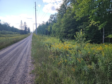 ON East Ln, Crandon, WI 54520 - photo 3