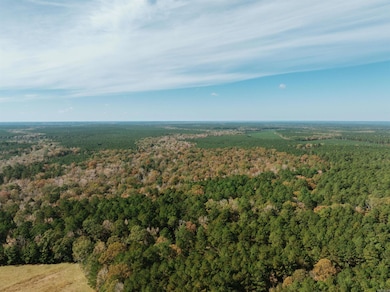 000 81 Rd, Tinsman, AR 71631 - photo 2