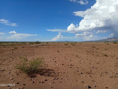 TBD N Ee Ranch Rd unit 1/4, McNeal, AZ 85617 - photo 7