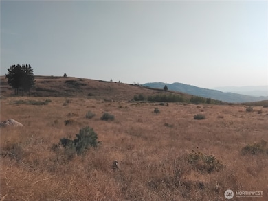 5 Painted Rock Rd, Tonasket, WA 98855 - photo 2