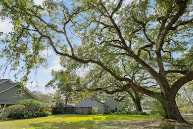 114 Lsu Ave, Baton Rouge, LA 70808 - photo 4