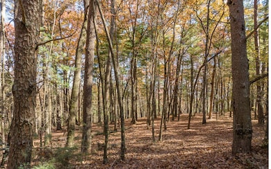2 TR Old Anderson Creek, Ellijay, GA 30536 - photo 2