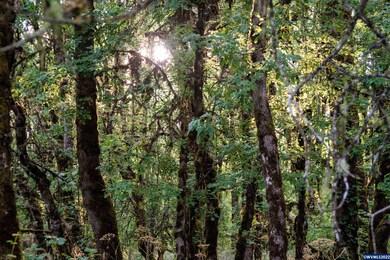 8390 Blanchard Rd, Sheridan, OR 97378 - photo 6