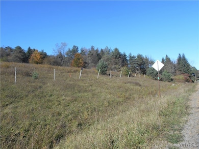 4738 Roszyk Hill Lot #1 Rd, MacHias, NY 14101 - photo 3