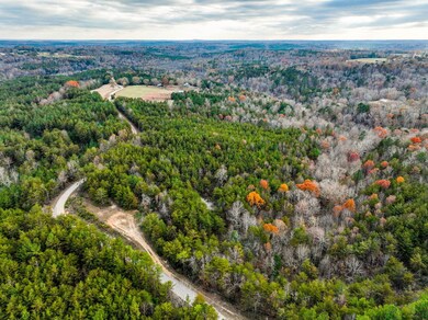 23 Acres County Road 3217, Haleyville, AL 35565 - photo 3