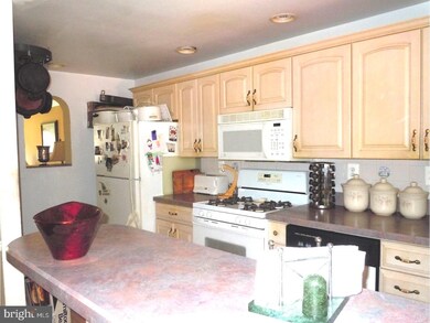 2363 Bond Ave, Drexel Hill, PA 19026 - photo 7