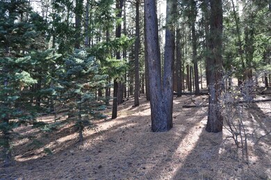 67 County Rd N 1330 Rd unit 7, Greer, AZ 85927 - photo 3