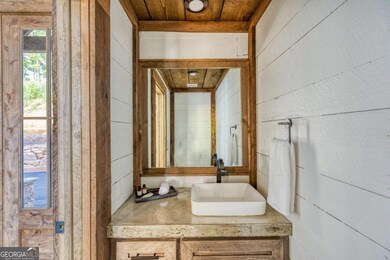 91 Kittatinny Dr, Mineral Bluff, GA 30559 - photo 7