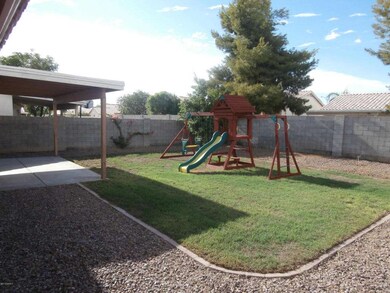 Backyard1