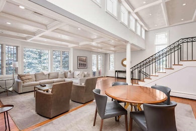 825 S Ute Ave unit A, Aspen, CO 81611 - photo 7