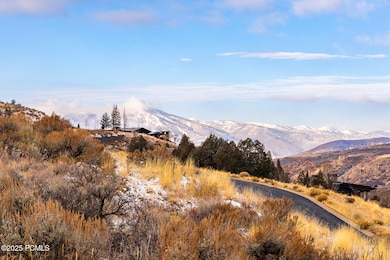 7520 N Caddis Dr unit 51, Heber City, UT 84032 - photo 3