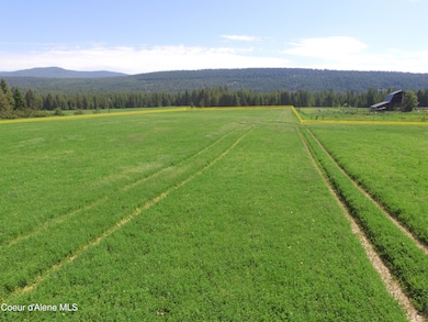 Yellow Prop Lines