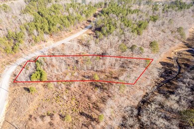 LOT 63 Shoreside at Sipsey, Double Springs, AL 35553 - photo 5