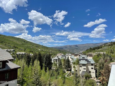 St James Place unit R-203, Week 14, Beaver Creek, CO 81620 - photo 4