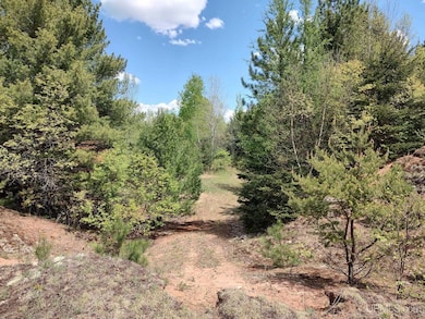 TBD Dunham Rd, Marenisco, MI 49947 - photo 2