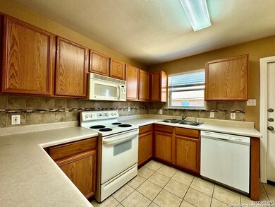 10726 S Shaenridge, San Antonio, TX 78254 - photo 4