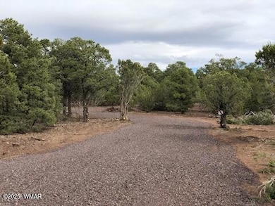 Lot 20 Mountain Pine Rd, Vernon, AZ 85940 - photo 5