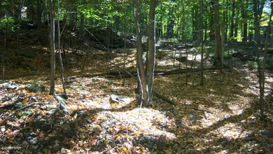 1EE24 E Shore Dr, Lords Valley, PA 18428 - photo 2