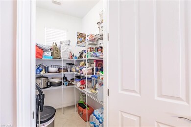 HUGE WALK-IN PANTRY WITH IT'S OWN WINDOW