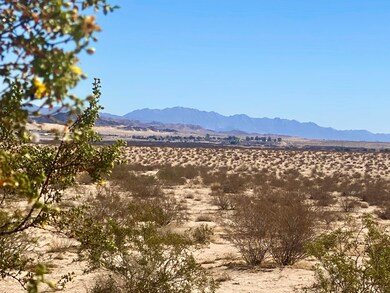 147 El Sando Rd, Twenty-Nine Palms, CA 92277 - photo 6