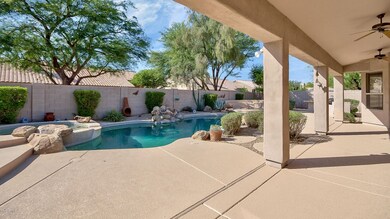 Entertainer's back yard