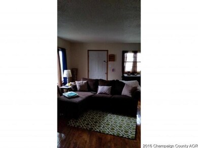 917 E Wilson St, Tuscola, IL 61953 - photo 3