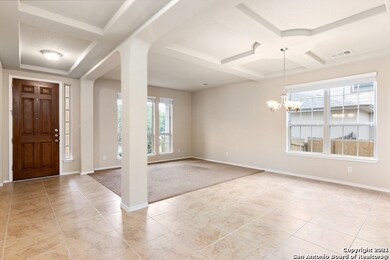 3810 Ox-Eye Daisy, San Antonio, TX 78261 - photo 4