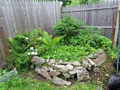 Yard/Garden.