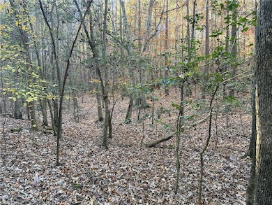 19.6 acres Willie Rd, Seagrove, NC 27341 - photo 7