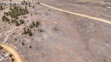 403 Jasper Way, Hartsel, CO 80449 - photo 7