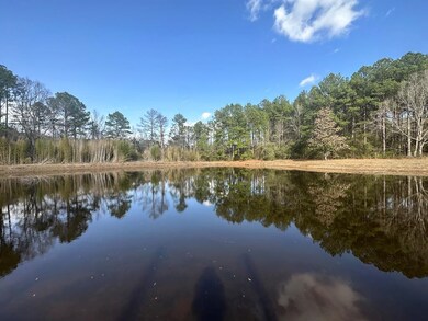 1179 Caston Rd, McComb, MS 39648 - photo 2