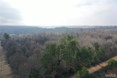 TBD Minorca Rd, Datto, AR 72444 - photo 6