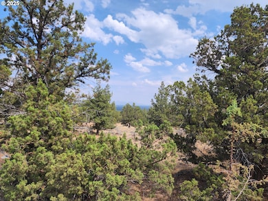 65432 78th St, Bend, OR 97703 - photo 4