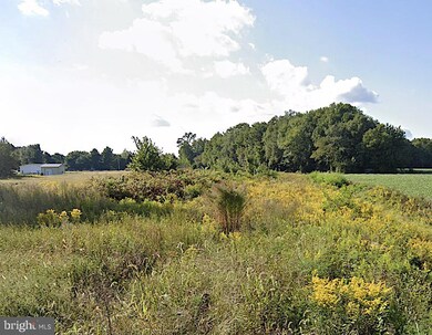7.7 Vacant Lot Andrewville Rd, Harrington, DE 19952 - photo 7