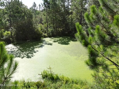 Pond Main