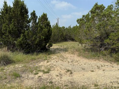 View of local wilderness