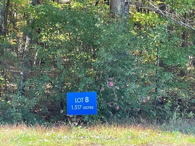 0 Stonewall Rd unit 8 47983, Concord, VA 24538 - photo 2