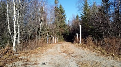 Beginning of driveway